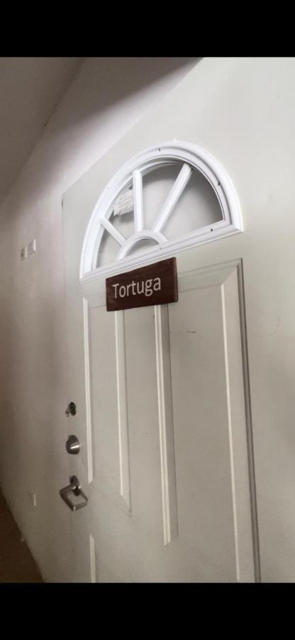 Habitacion Tortuga Casa Maria Bonita El Cuyo Eksteriør billede